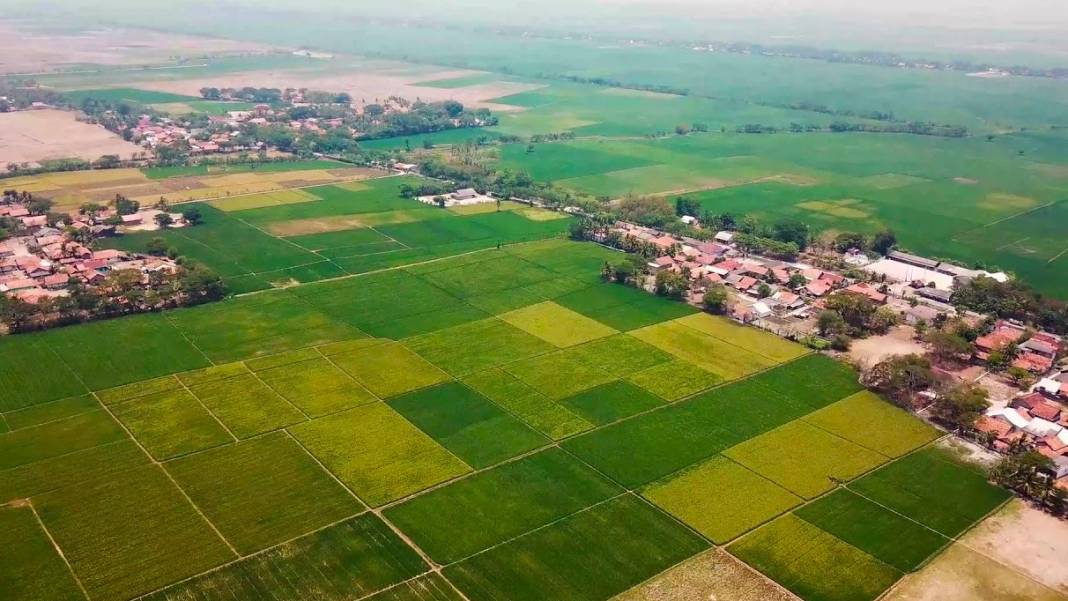 O ilde yaşayanlar bedava tapu sahibi olacak! Milli Emlak düğmeye bastı 5